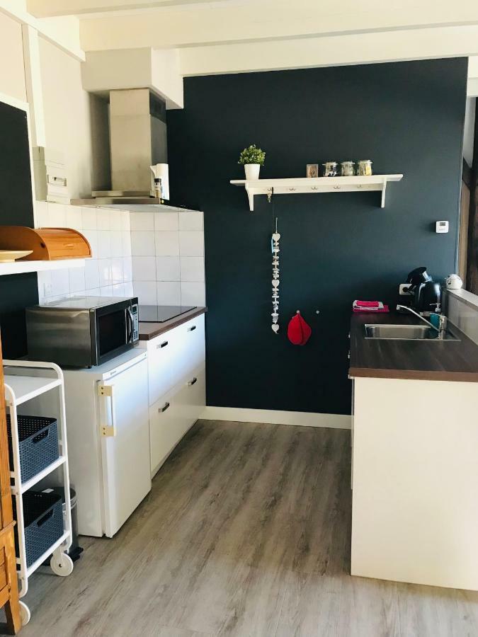 Het Achterhuis - Buitenplaats Ruitenveen, Prive! Nieuwleusen Exteriér fotografie